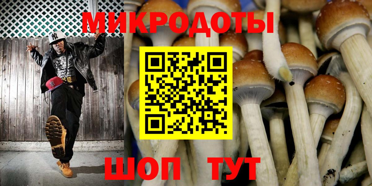Псилоцибиновые грибы прущие грибы Каспийск