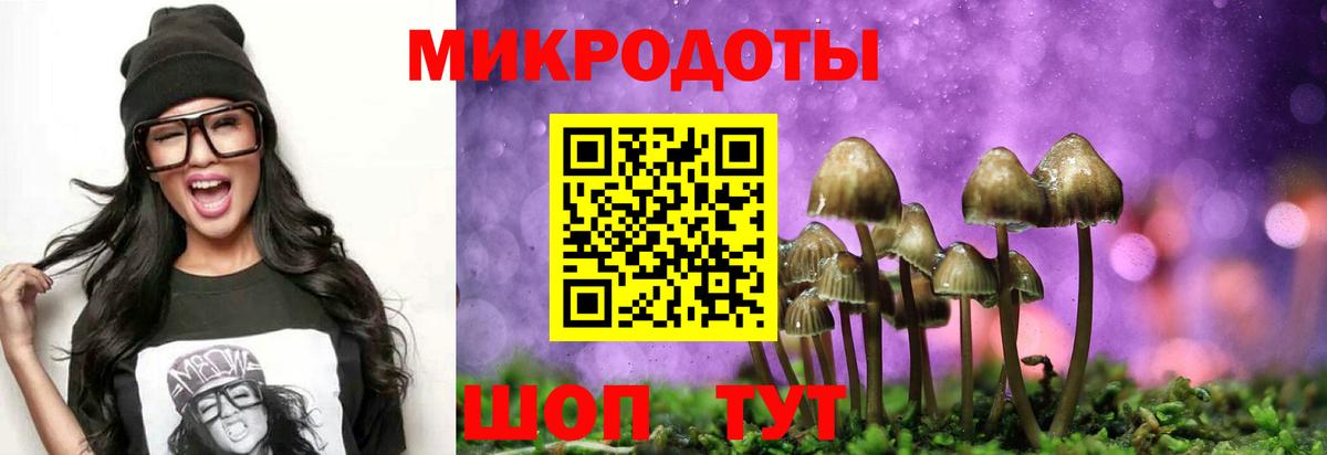 Псилоцибиновые грибы Cubensis  Вход с VPN  Каспийск 